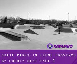 Skate Parks in Liège Province by county seat - page 1
