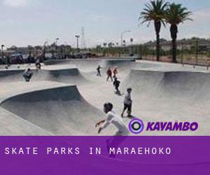 Skate Parks in Maraehoko