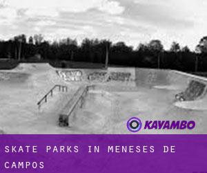 Skate Parks in Meneses de Campos