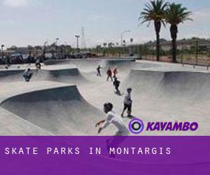 Skate Parks in Montargis
