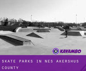 Skate Parks in Nes (Akershus county)