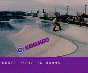 Skate Parks in Norma