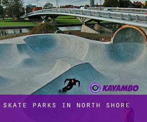 Skate Parks in North Shore