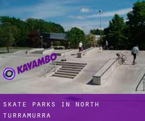 Skate Parks in North Turramurra