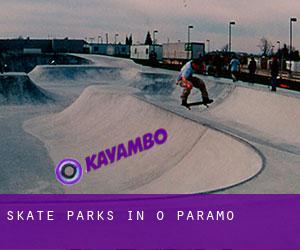 Skate Parks in O Páramo