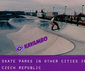 Skate Parks in Other Cities in Czech Republic