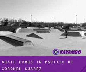 Skate Parks in Partido de Coronel Suárez