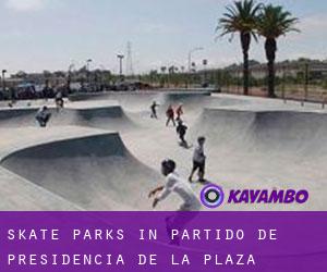 Skate Parks in Partido de Presidencia de la Plaza