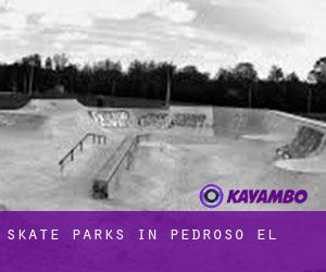 Skate Parks in Pedroso (El)