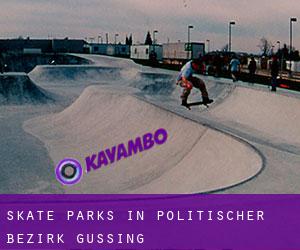 Skate Parks in Politischer Bezirk Güssing