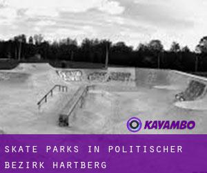 Skate Parks in Politischer Bezirk Hartberg