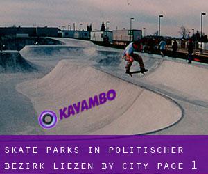 Skate Parks in Politischer Bezirk Liezen by city - page 1