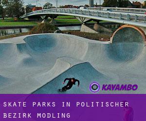 Skate Parks in Politischer Bezirk Mödling