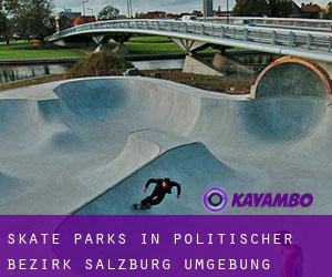 Skate Parks in Politischer Bezirk Salzburg Umgebung
