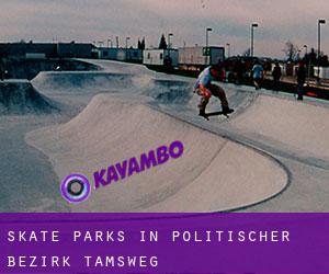 Skate Parks in Politischer Bezirk Tamsweg