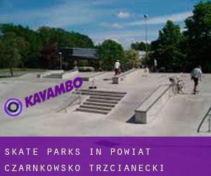 Skate Parks in Powiat czarnkowsko-trzcianecki