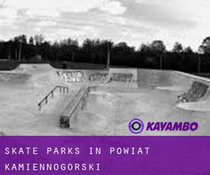 Skate Parks in Powiat kamiennogórski