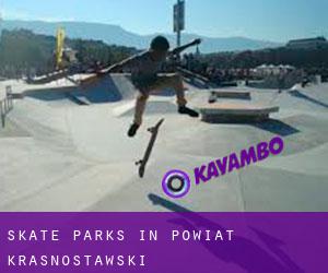 Skate Parks in Powiat krasnostawski