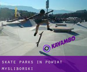 Skate Parks in Powiat myśliborski