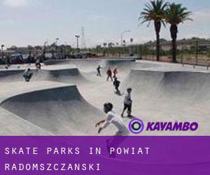 Skate Parks in Powiat radomszczański