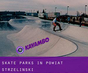 Skate Parks in Powiat strzeliński