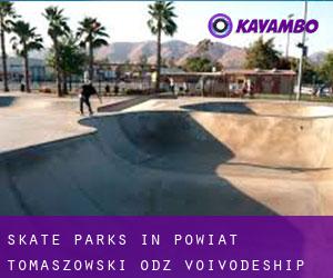 Skate Parks in Powiat tomaszowski (Łódź Voivodeship)