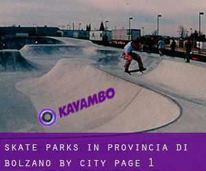 Skate Parks in Provincia di Bolzano by city - page 1