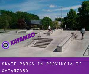 Skate Parks in Provincia di Catanzaro