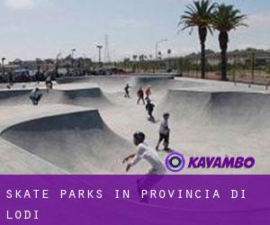 Skate Parks in Provincia di Lodi