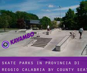 Skate Parks in Provincia di Reggio Calabria by county seat - page 1