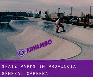 Skate Parks in Provincia General Carrera