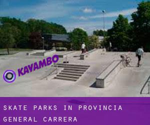 Skate Parks in Provincia General Carrera