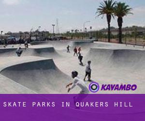 Skate Parks in Quakers Hill