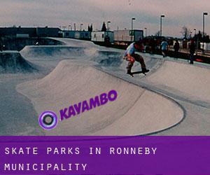 Skate Parks in Ronneby Municipality