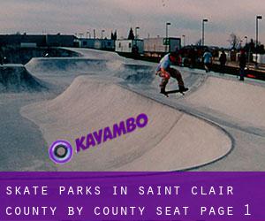 Skate Parks in Saint Clair County by county seat - page 1