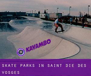 Skate Parks in Saint-Dié-des-Vosges