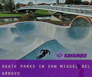 Skate Parks in San Miguel del Arroyo