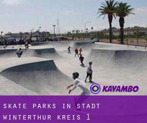 Skate Parks in Stadt Winterthur (Kreis 1)