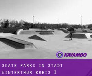 Skate Parks in Stadt Winterthur (Kreis 1)