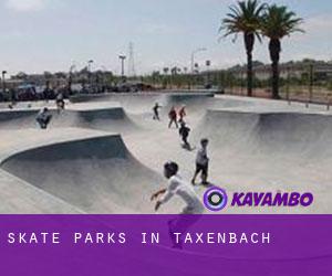 Skate Parks in Taxenbach