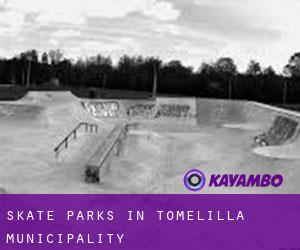 Skate Parks in Tomelilla Municipality