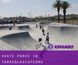 Skate Parks in Torreblascopedro