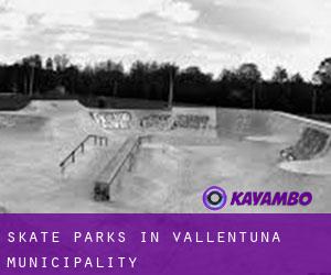 Skate Parks in Vallentuna Municipality