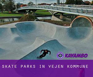 Skate Parks in Vejen Kommune
