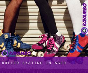 Roller Skating in Ageo