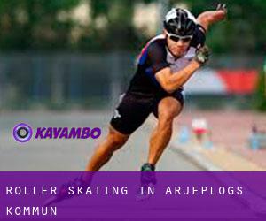 Roller Skating in Arjeplogs Kommun Roller Skating in Arjeplogs Kommun