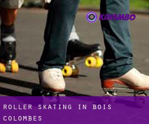 Roller Skating in Bois-Colombes Roller Skating in Bois-Colombes