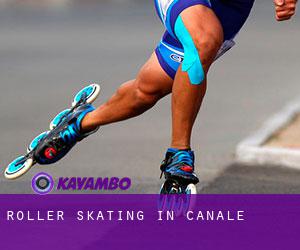 Roller Skating in Canale
