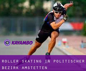 Roller Skating in Politischer Bezirk Amstetten