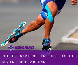 Roller Skating in Politischer Bezirk Hollabrunn